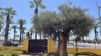 Chalet on Paseo de Jaume I, 3 photo 7