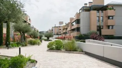 Apartment in Golf-El Carralero photo 38