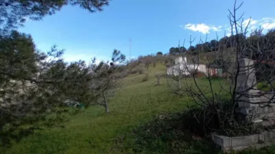 Rustic house in Alozaina photo 26