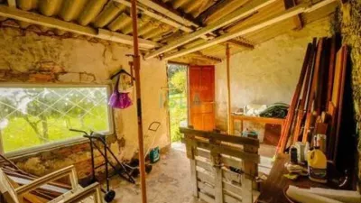 Apartment in Isla Playa photo 15