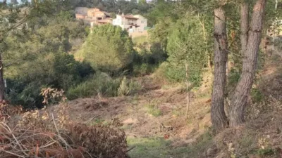 Chalet in Cartellà photo 17