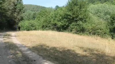 Rustic house in Sant Feliu de Pallerols photo 20