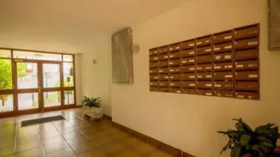 Apartment in Isla Playa photo 37