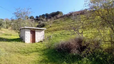 Rustic house in Alozaina photo 19