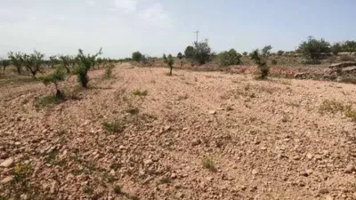 Piso – el Pinós / Pinoso - Vista 4