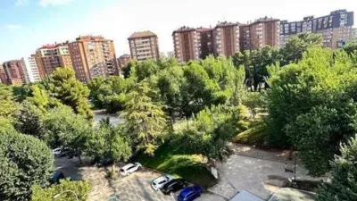 Pis – Albacete, La Pajarita - Vista 5