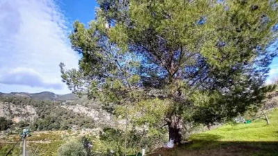 Rustic house in Alozaina photo 23