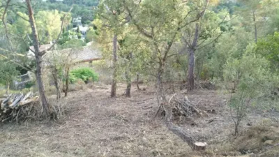 Chalet in Calonge photo 17