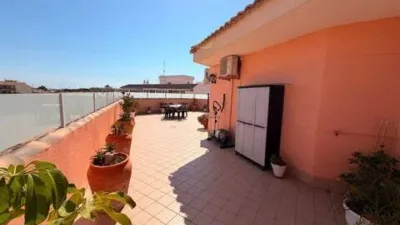 Pis – Pilar de la Horadada, Barrio Los Segundas - Més