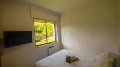 Apartment in Isla Playa photo 6