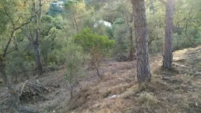 Chalet in Calonge photo 16