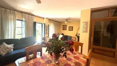 House on Avenida del Alcarite photo 7