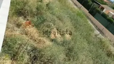 Flat in Cheste photo 17