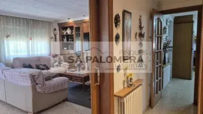 Chalet on Carrer de la Tramuntana photo 10