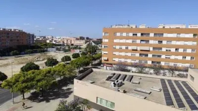 Pis - Vista 2