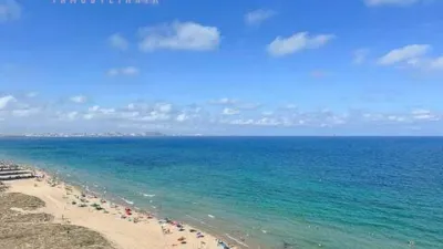 Pis – Elche, Urbanització Els Arenals del Sol - Vista 3