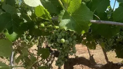Terreno en venta en Camarillas - Més