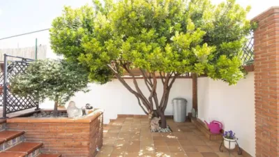 Chalet in Nívar photo 9