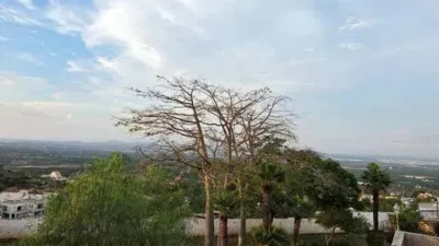 Chalet in Chiva photo 53