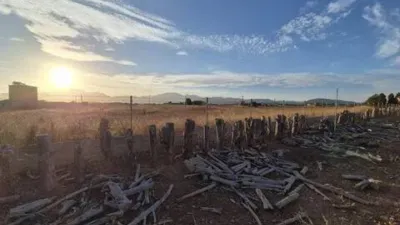 Rustic house in Muro photo 12