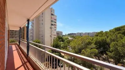 Apartment in Playa de San Juan photo 27