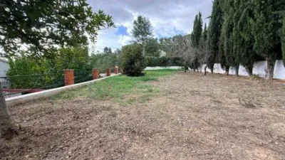 Chalet en Olivella photo 38