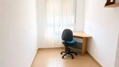 Apartment in Norte photo 14