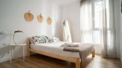 Apartment in Centro-Catedral photo 8