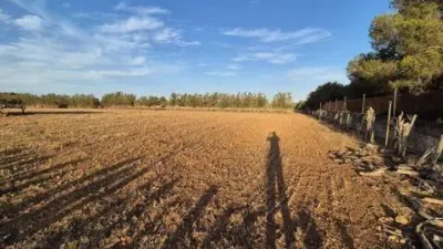 Rustic house in Muro photo 3