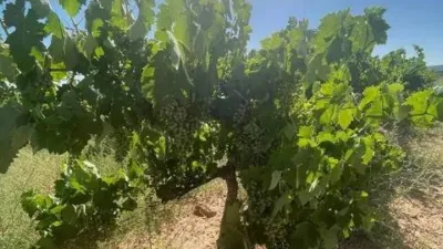 Terreno en venta en Camarillas - Vista 4
