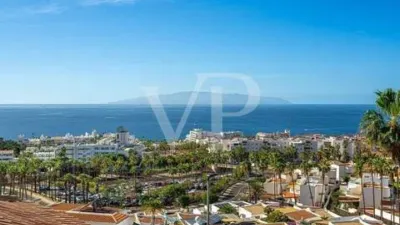 Chalet in Costa Adeje photo 65