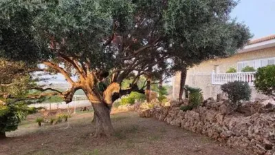 Chalet in Chiva photo 6