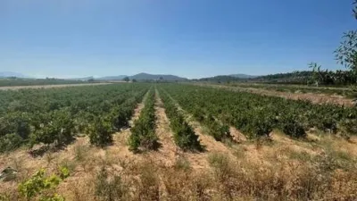 Terreno en venta en Camarillas - Vista 5