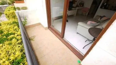 Apartment in Isla Playa photo 9