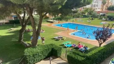 Apartment in Passatge Badia Gran Reserva photo 24