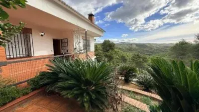 Chalet en Olivella photo 32