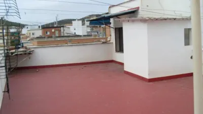 Miniatura 12