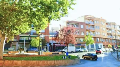 Miniatura 10