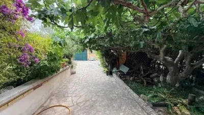 Chalet in Olivella photo 32