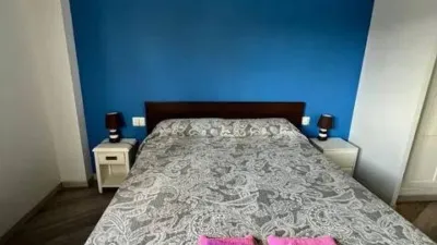 Apartment in Plaza Major photo 12