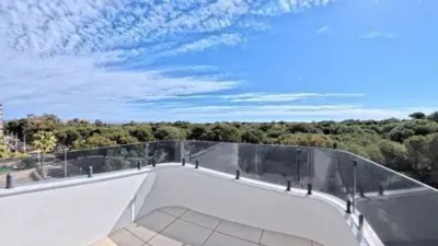 Duplex penthouse in Guardamar Playa photo 32