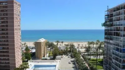 Pis – Alicante - Alacant - Vista 5