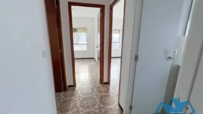 Apartment in Cas Capiscol photo 15