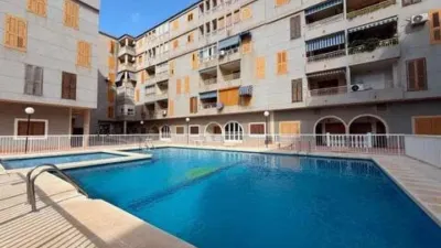 Apartment in Acequión-Los Naúfragos photo 4