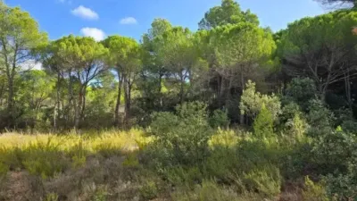 Terreno en venta en Albacete Capital - Vista 3
