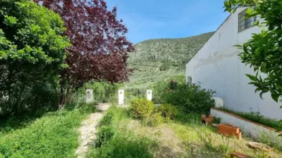 Chalet in Rute photo 9