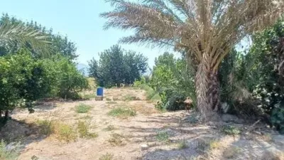 Rustic house in Huércal-Overa photo 22