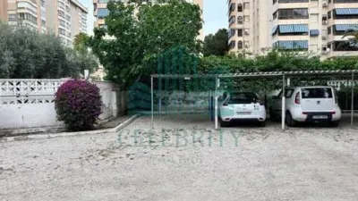 Apartment in Playa de San Juan photo 15