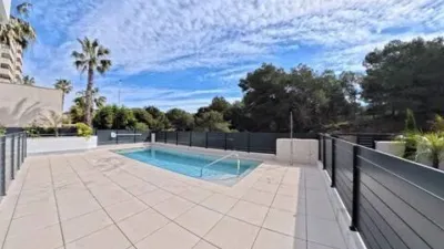 Duplex penthouse in Guardamar Playa photo 4