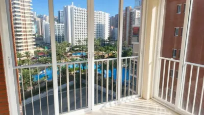 Apartment in Benidorm photo 9